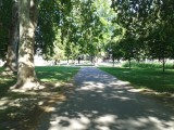 20190716_Perivoj kraljice Katarine Kosača_sl2~1.jpg
